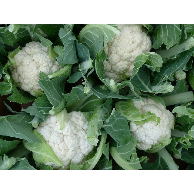 HẠT BÔNG CẢI TRẮNG SÚP LƠ F1 - GÓI 1 GRAM