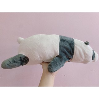 Đồng giá 40k (Chất miniso)