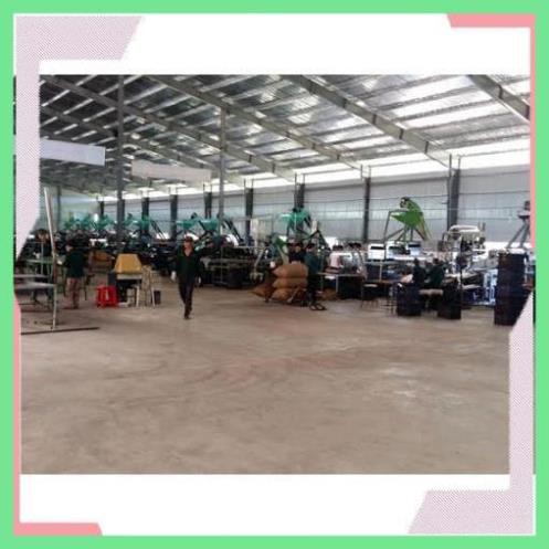 [Free Ship Hàng Siêu Thị] Hạt Điều Nguyên Lụa Rang Muối Ngon, Hạt Điều Bình Phước Chuẩn | BigBuy360 - bigbuy360.vn