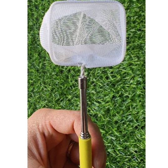 Vợt tép 3D Chuyên vợt cá tép bể thủy sinh