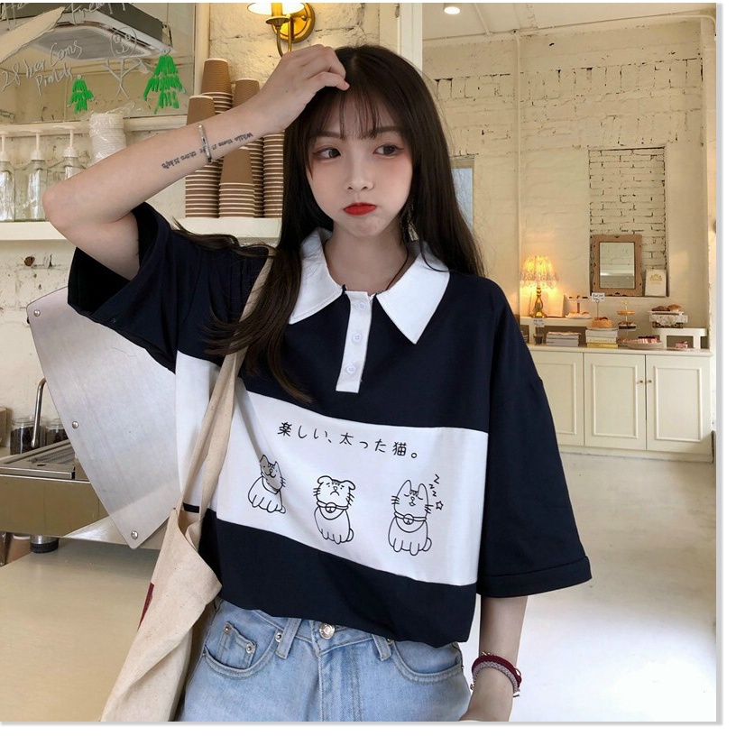 Áo thun nữ cổ bẻ form rộng tay lỡ mèo KUL