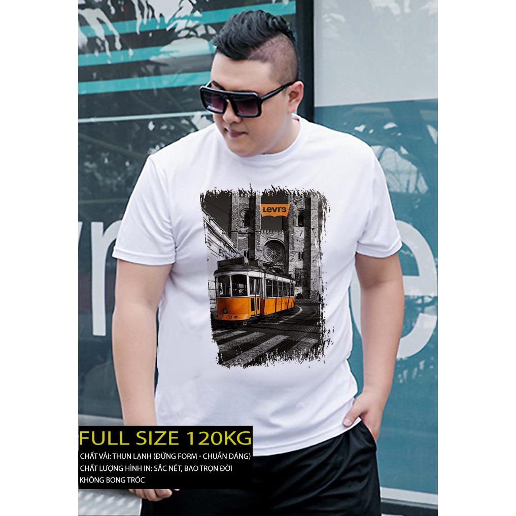 [ÁO THUN BIGSIZE] Áo phông nam big size in hình 3d