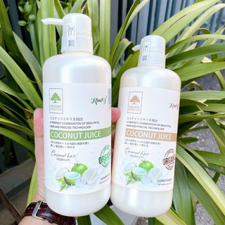 Dầu gội xả dừa tươi cao cấp Coconut Juice KENDY 800mlx2