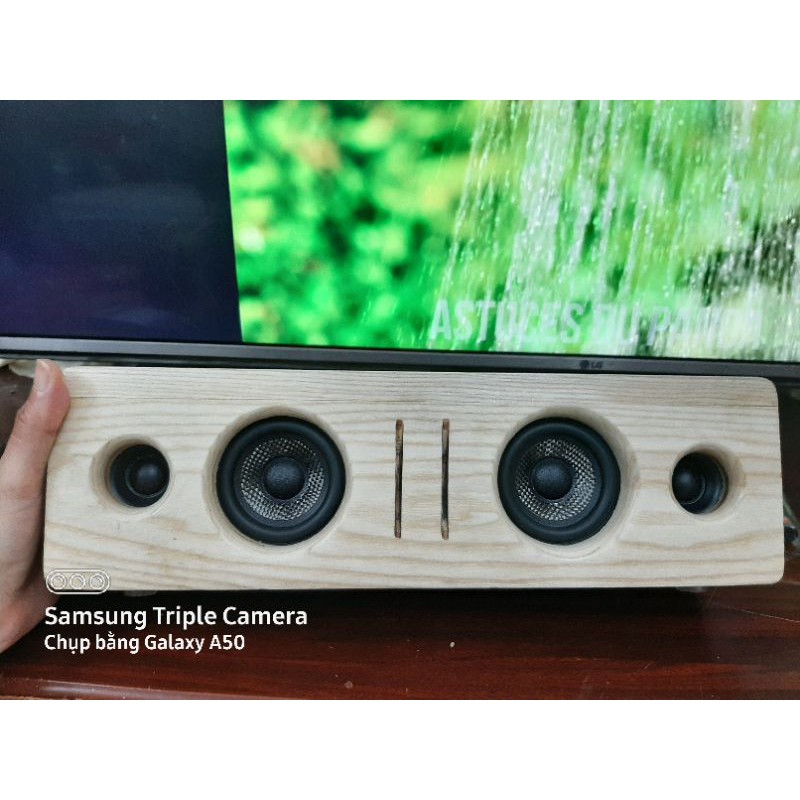 Loa bluetooth tự chế_Gỗ Tần Bì vân đẹp_củ loa CHÂU ÂU