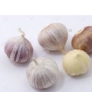 muồng muồng cho bé tỏi cô đơn