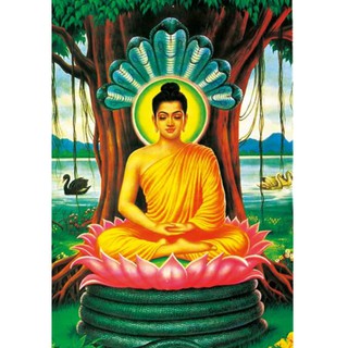 Tranh Đá Hạt Tròn Rồng Đại Long Vương Hộ Pháp H224