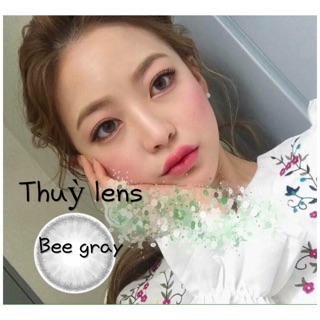 Compo bee gray