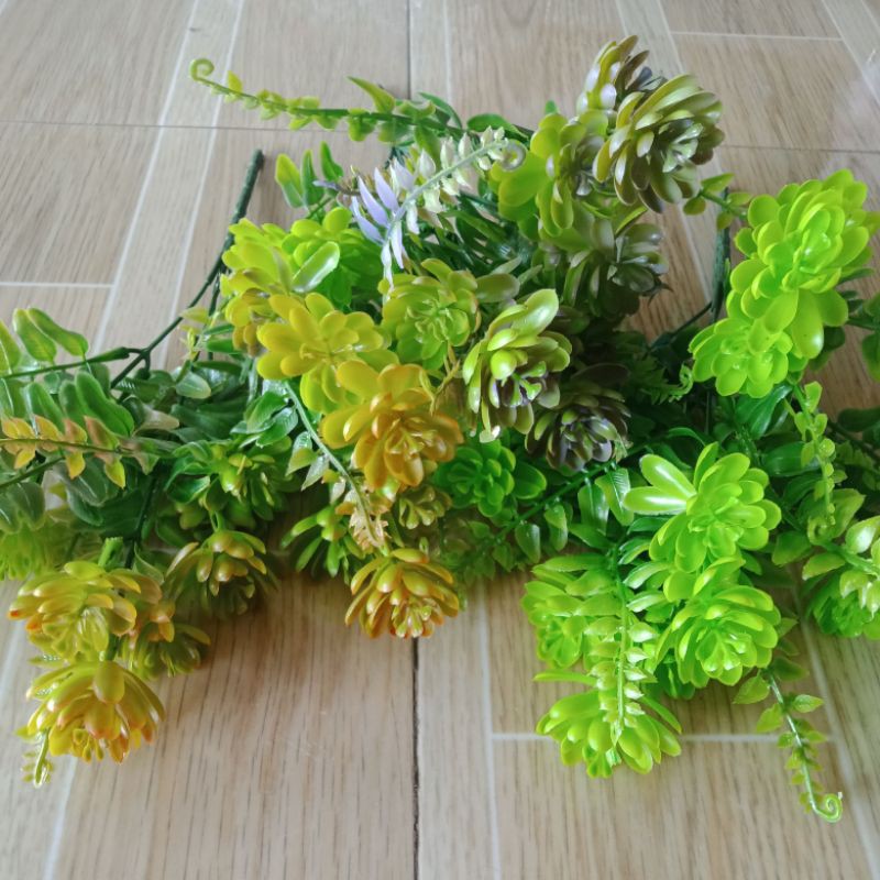 sen đá giả