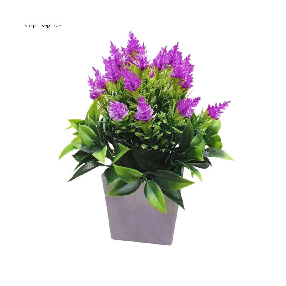 Set chậu và cây nhân tạo xinh xắn trang trí sân vườn nhà cửa