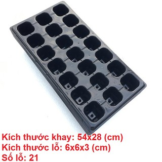 Combo 20 cái khay ươm hạt 21 lỗ, hàng loại 1 chất lượng cao