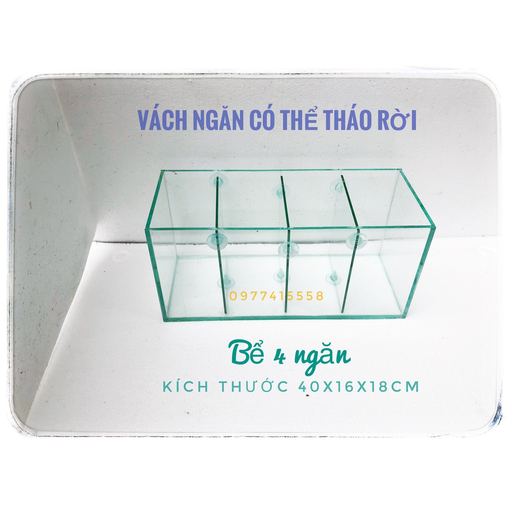 🐬 Bể cá 4 ngăn - bể cá betta - bể cá mini để bàn( vách ngăn có thể tháo rời)
