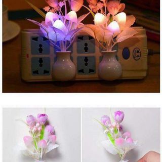 ĐÈN NGỦ NẤM HOA HỒNG KIỂU MỚI 
🍄Đèn ngủ cảm ứng hình nấm hoa hồngvật dụng tiện ích trong phòng ngủ làvật dụng trang trí