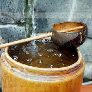 Tre SX- Gáo dừa to múc nước hoặc decor -Xưởng SX