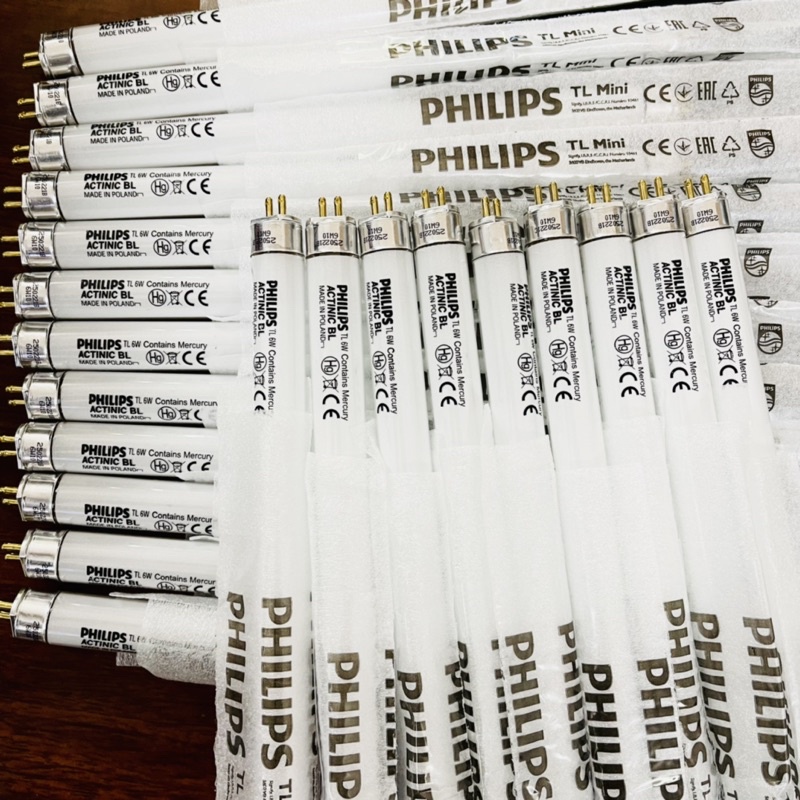 Bóng đèn bắt muỗi philips 6W