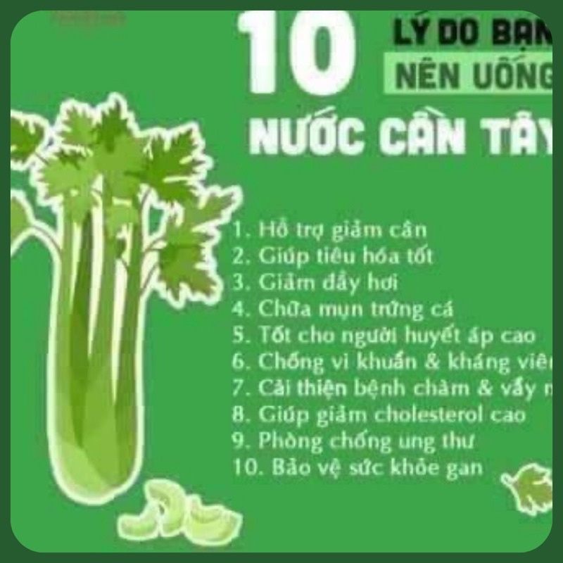 Bột Cần Tây Sấy Lạnh Nguyên Chất Giúp Giảm Cân, Hạ Đường Huyết, Giảm Mỡ Bụng, bổ sung dinh dưỡng