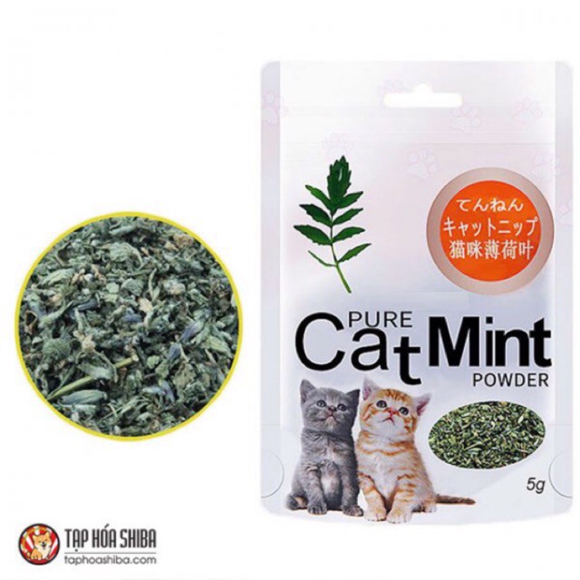 CỎ BẠC HÀ CatMint CHO MÈO thích thú Gói 5g - Pet shop Uytinpro