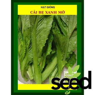 50g - hạt giống cải bẹ xanh mỡ