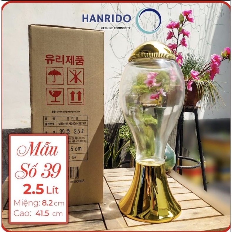 Bình thủy tinh cao cấp ngâm rượu HÀN QUỐC YongCheon hình Trụ Cầu