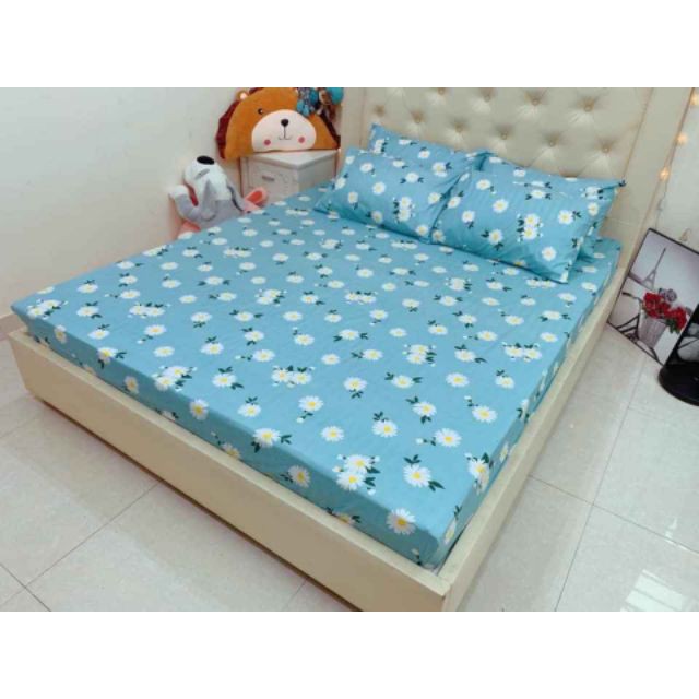 Bộ ga gối 3 món poly cotton mẫu mới 2020 (được chọn mẫu)