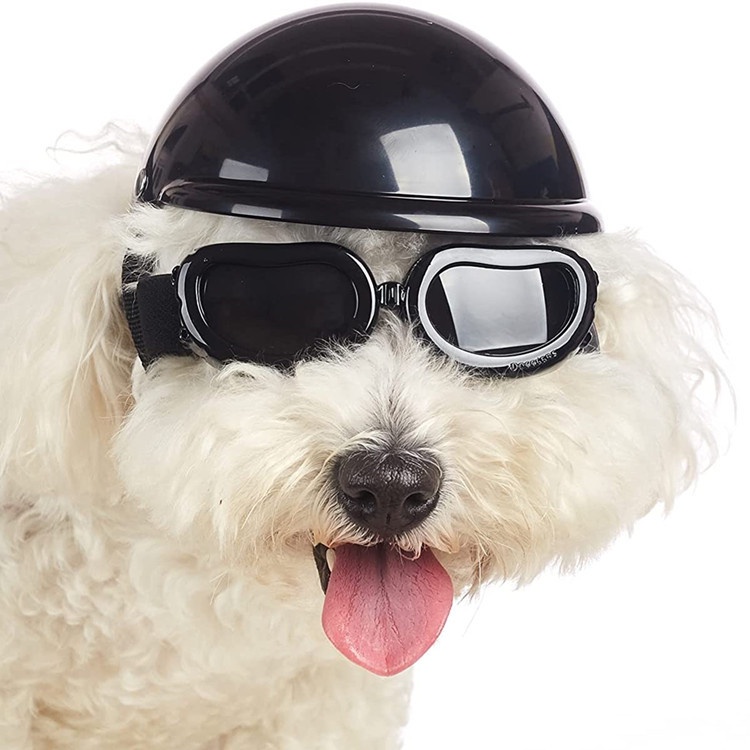 Nón Bảo Hiểm Thời Trang Đáng Yêu Cho Thú Cưng 5 Inch