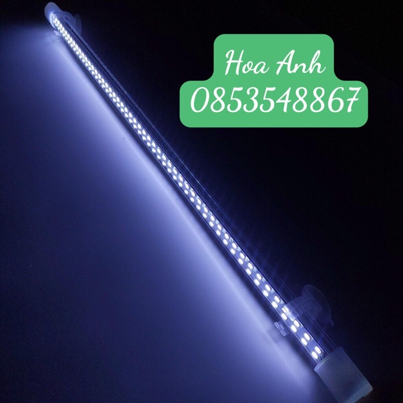 Đèn Led KAOKUI 2 Hàng Bóng, Hồ 60cm/80cm/100cm/120 (Nowship) Chuyên Dụng Cho Cá Rồng