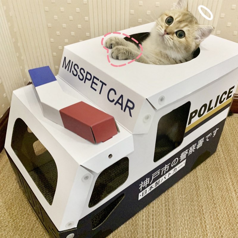 [Tặng Kèm Catnip] Hộp Box Cào Móng Cho Mèo Kiểu Xe Độc Đáo- Đồ Chơi Cào Móng- Bàn Cào Móng Cho Mèo