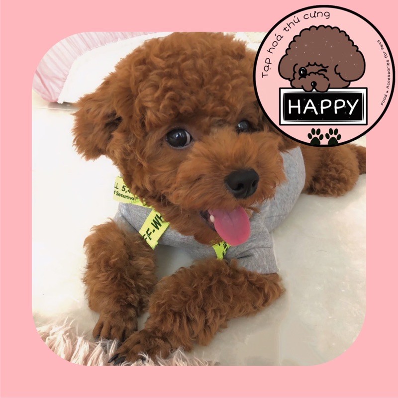 Áo nỉ hoodie thêu hình thỏ Cupid [Ảnh thật] [Có sẵn] - Đồ Noel chó mèo