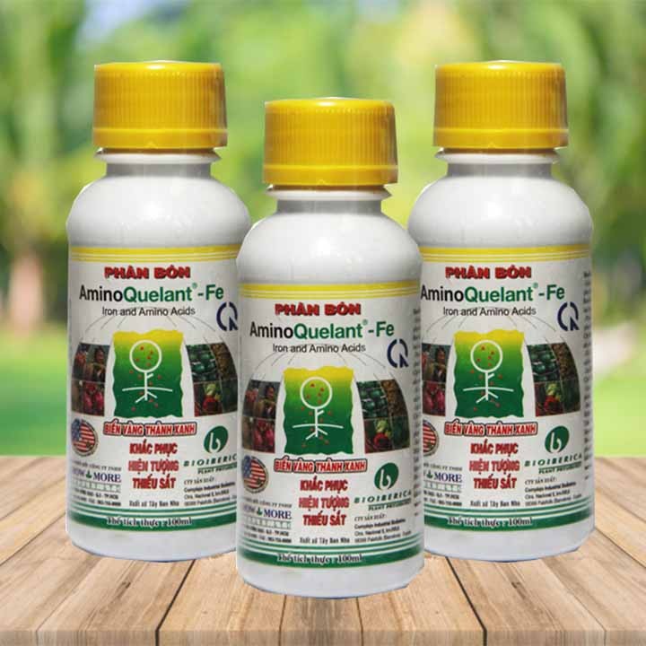 Phân bón lá AminoQuelant Fe 100ml bón xanh cây Fe - Chống bệnh vàng lá trên cây