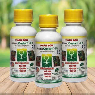 Phân bón lá AminoQuelant Fe 100ml bón xanh cây Fe - Chống bệnh vàng lá trên cây