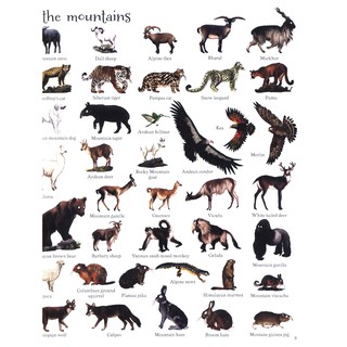 Sách - Anh: 1000 Animals