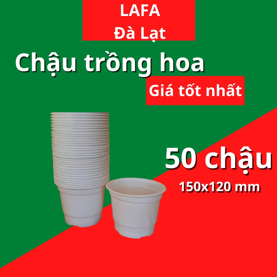 Combo 50 Chậu nhựa ươm cây trồng LAFA kích thước  ươm cây giống, trồng cây sen đá tiện lợi