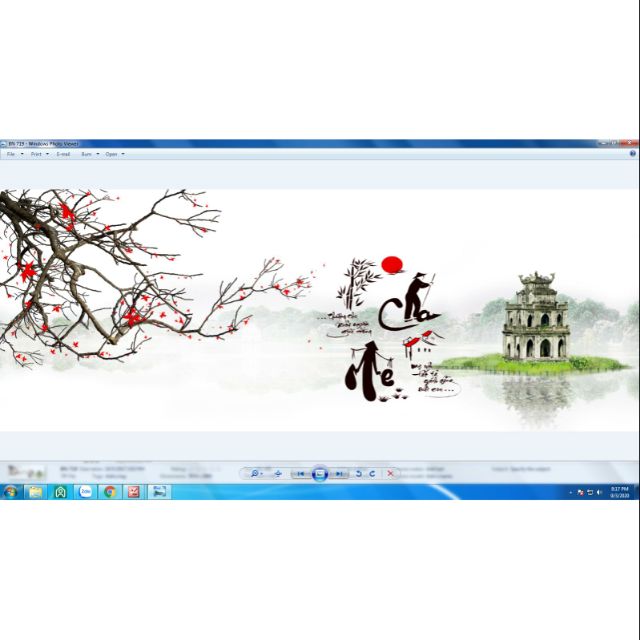 Tranh 3D dán hồ  cá cảnh