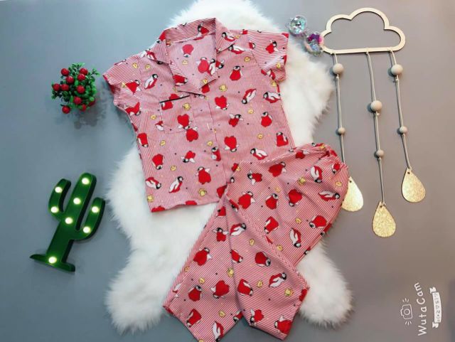 PIJAMA TAY DÀI QUẦN DÀI CỦA BÉ 8 đến 18ki(lấy màu theo bé trai bé gái nhé)