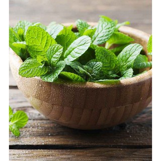 100g CHIẾT XUẤT BẠC HÀ