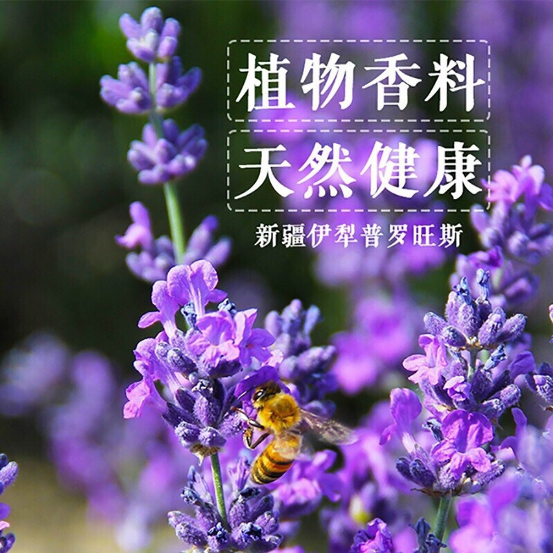 Túi thơm Lavender để phòng , treo tủ lưu giữ mùi thơm cực lâu