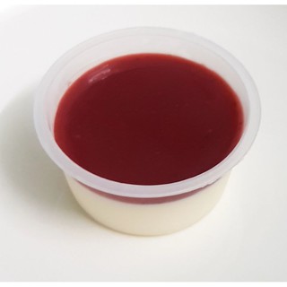 [Nội thành HCM] Panna Cotta nhiều vị lạ