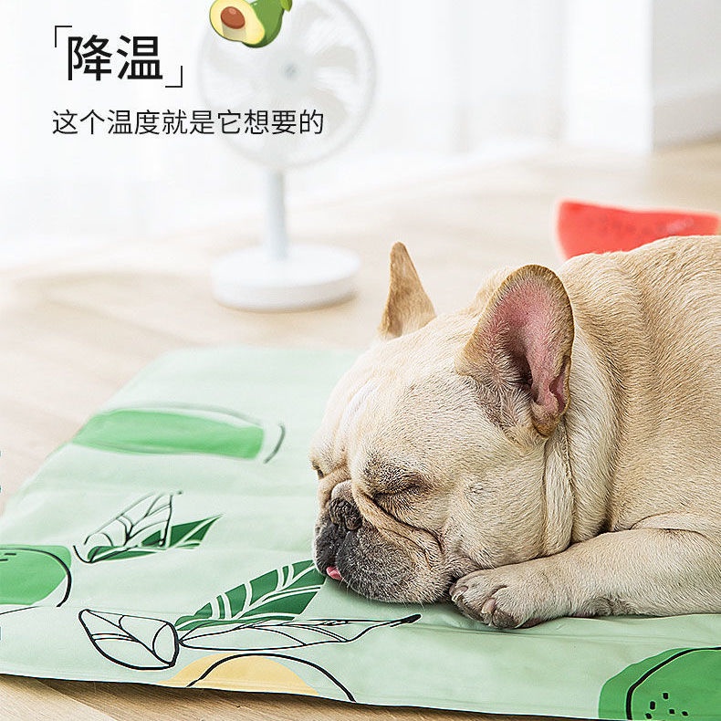 Thảm Gel Làm Mát Chống Cắn Cho Thú Cưng