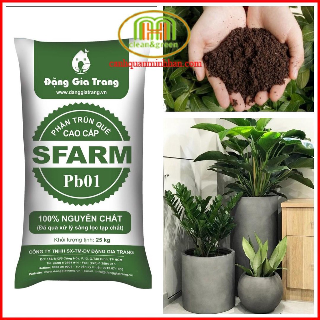 5 KG Phân trùn quế Sfarm bón rau sạch và trồng cây cảnh