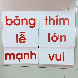 Combo thẻ flashcard bộ nhập tâm