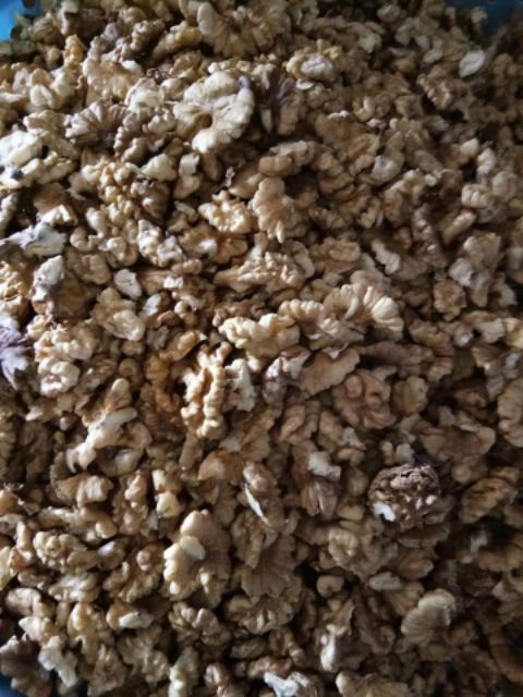 NHÂN ÓC CHÓ NẾP