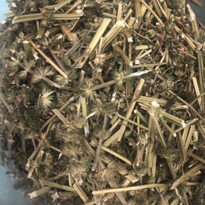 Cây ích mẫu khô nhà trồng, chuẩn sạch 100%