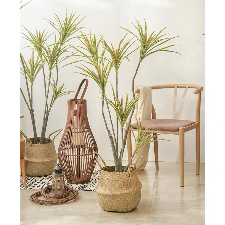 Cây giả, Cây huyết giác, huyết dụ kiếm giả - Cây giả decor trang trí nhà cửa nội thất phòng khách phòng ngủ
