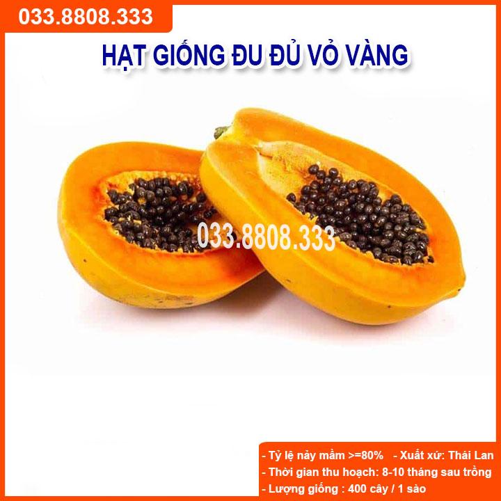 HẠT GIỐNG ĐU ĐỦ VỎ VÀNG -  CHẤT LƯỢNG GIỐNG CAO