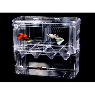Lồng Đẻ Cho Cá Cảnh Guppy - Lồng Tách Và Dưỡng Bệnh - Lồng đôi