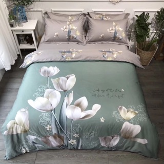 Set chăn ga gối cotton 100% (ib chọn mẫu)