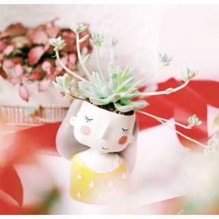 Cây cảnh xương rồng kèm chậu cô gái áo vàng chấm bi trắng
