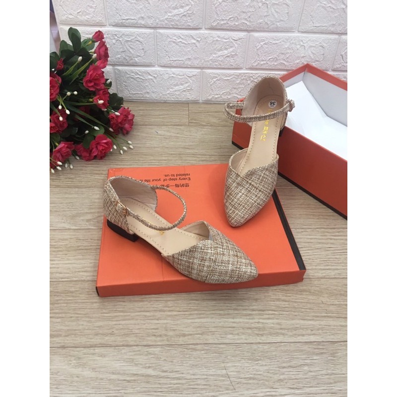 giầy bít mũi 2cm cực xinh ( hình thật )