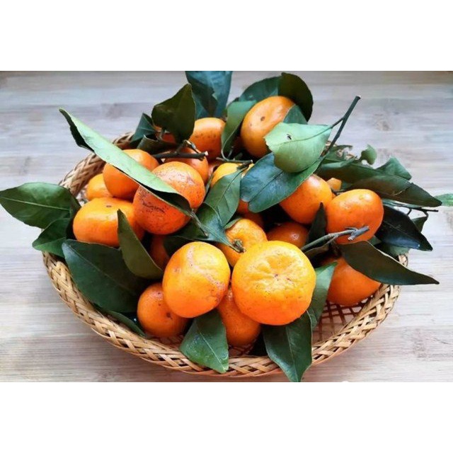 Quýt Thái Mọng Nước thơm ngon ngọt Giao Siêu Tốc 1h