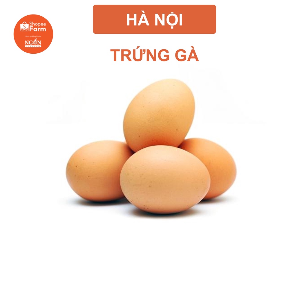 [HN] Hộp 10 Quả Trứng Gà Bổ Dưỡng - Shopeefarm | BigBuy360 - bigbuy360.vn