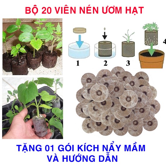 20 Viên nén ươm hạt (tặng kích mầm, hướng dẫn ươm)